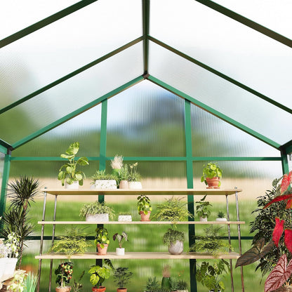 6X10 FT Greenhouse for Outdoors, Polycarbonate Greenhouse with Roof Vent, Ground Nails, Lockable Push Door, Aluminum Large Walk-In Green House for outside Garden Backyard, Patio, Lawn, Green